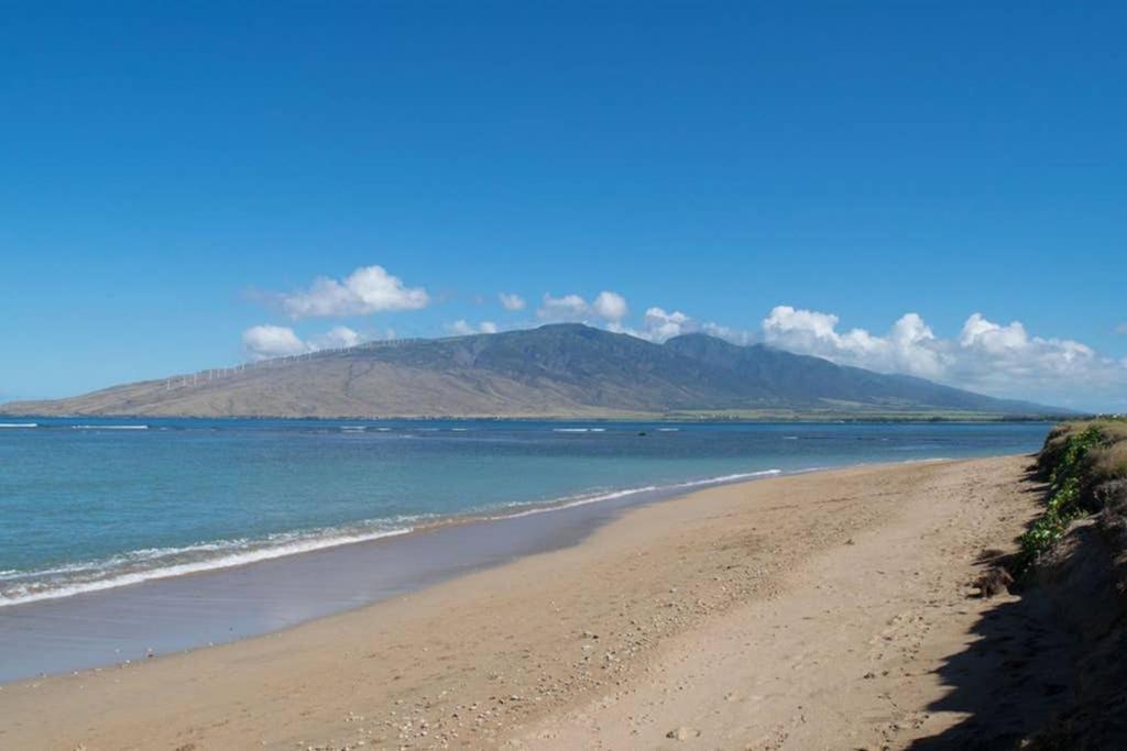 Apartmán Oceanfront Penthouse With Amazing Views At Kauhale Makai Kihei Exteriér fotografie